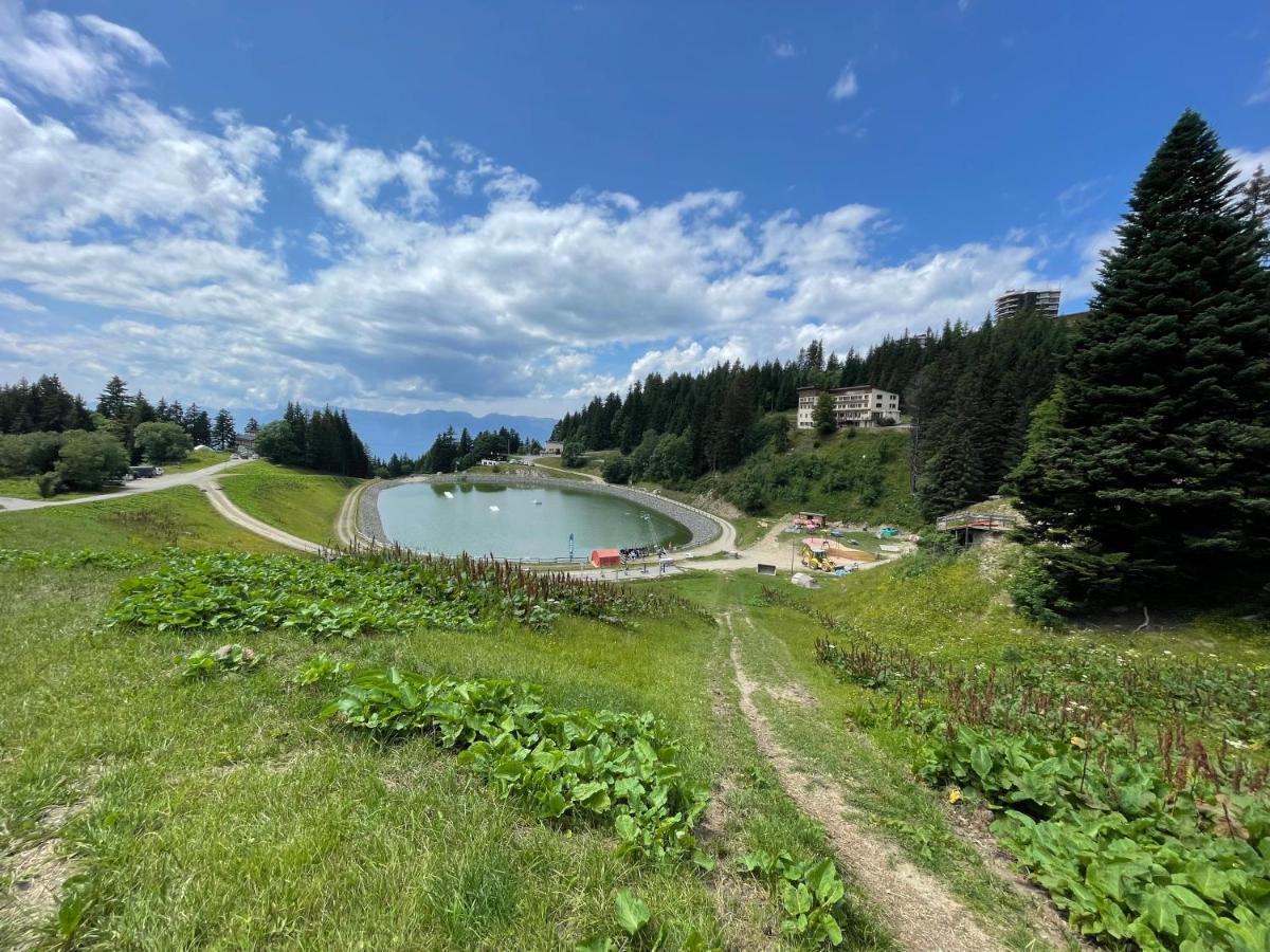Charmant Appartement Confortable Pour 6 Personnes 40M2 Pied Pistes, Piscine, Wifi, Parking Chamrousse Zewnętrze zdjęcie