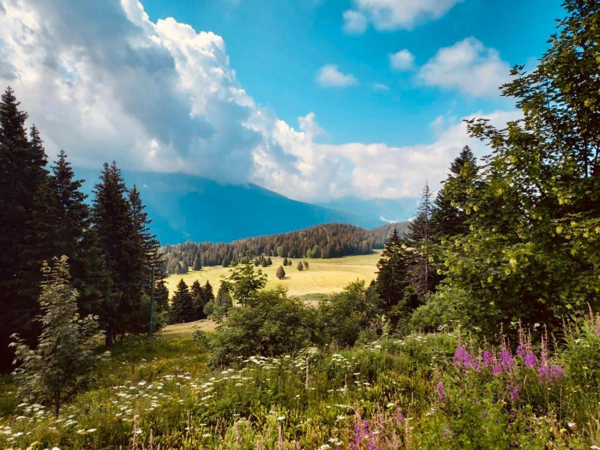 Charmant Appartement Confortable Pour 6 Personnes 40M2 Pied Pistes, Piscine, Wifi, Parking Chamrousse Zewnętrze zdjęcie