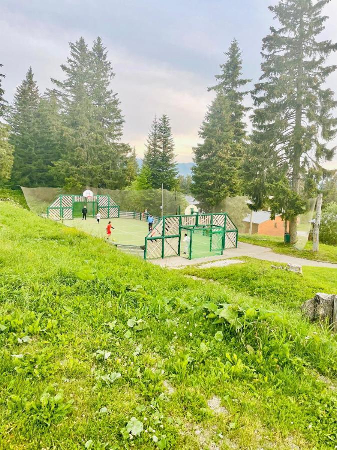 Charmant Appartement Confortable Pour 6 Personnes 40M2 Pied Pistes, Piscine, Wifi, Parking Chamrousse Zewnętrze zdjęcie