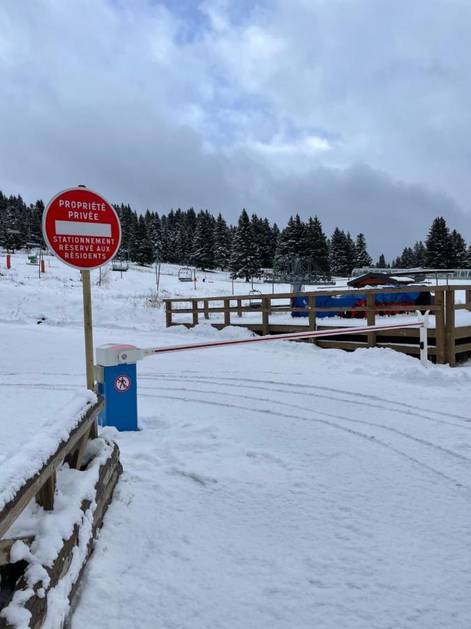 Charmant Appartement Confortable Pour 6 Personnes 40M2 Pied Pistes, Piscine, Wifi, Parking Chamrousse Zewnętrze zdjęcie